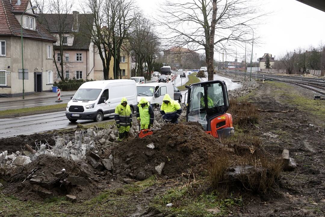 Viltis: žadama, kad naujoji sienelė apsaugos gyventojus nuo triukšmo.