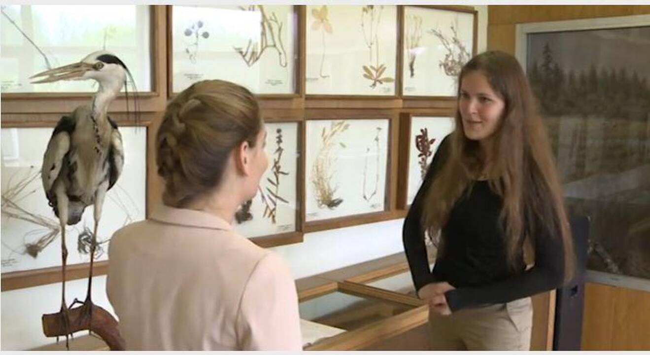 Dėl tėvynės gamtos paliko šeimą Londone