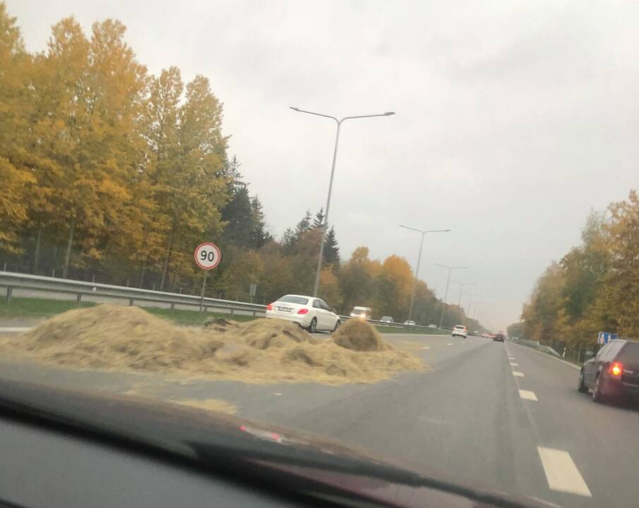 Ugniagesių diena: vieni išsiųsti šluoti šieno, kiti gelbsti gulbę