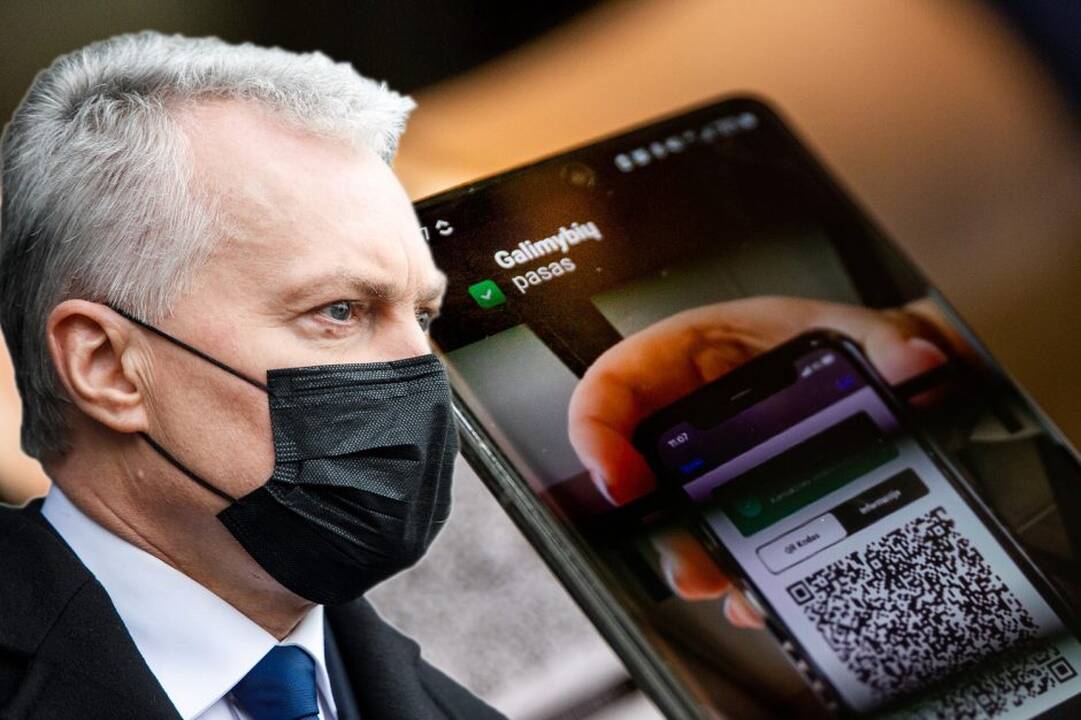 G. Nausėda: ateityje turėtume aiškiai žinoti, ar Vyriausybės sprendimai atitinka Konstituciją