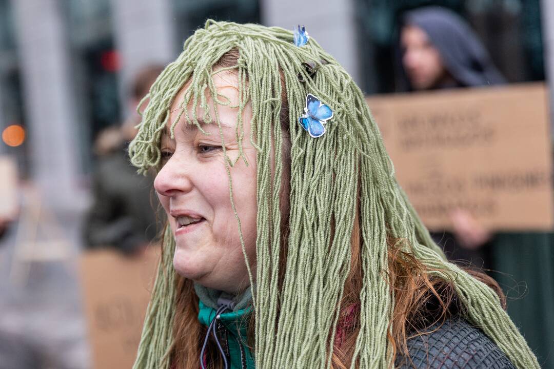 Vilniuje – aplinkosaugininkų kontroprotestas prieš ūkininkų mitingą