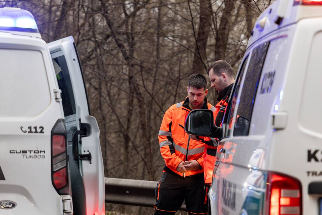 Netoli Kauno – siaubinga akistata su miškavežiu