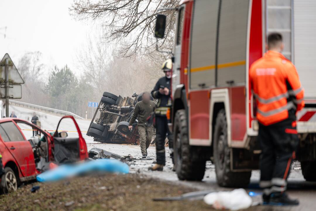 Netoli Kauno – siaubinga akistata su miškavežiu