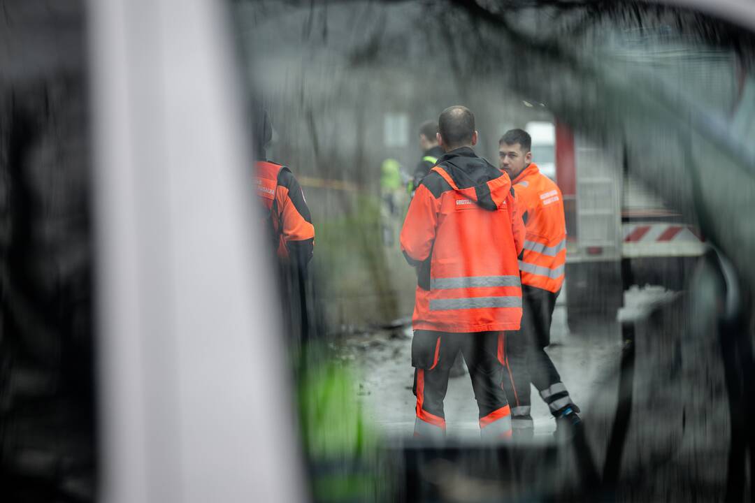 Netoli Kauno – siaubinga akistata su miškavežiu