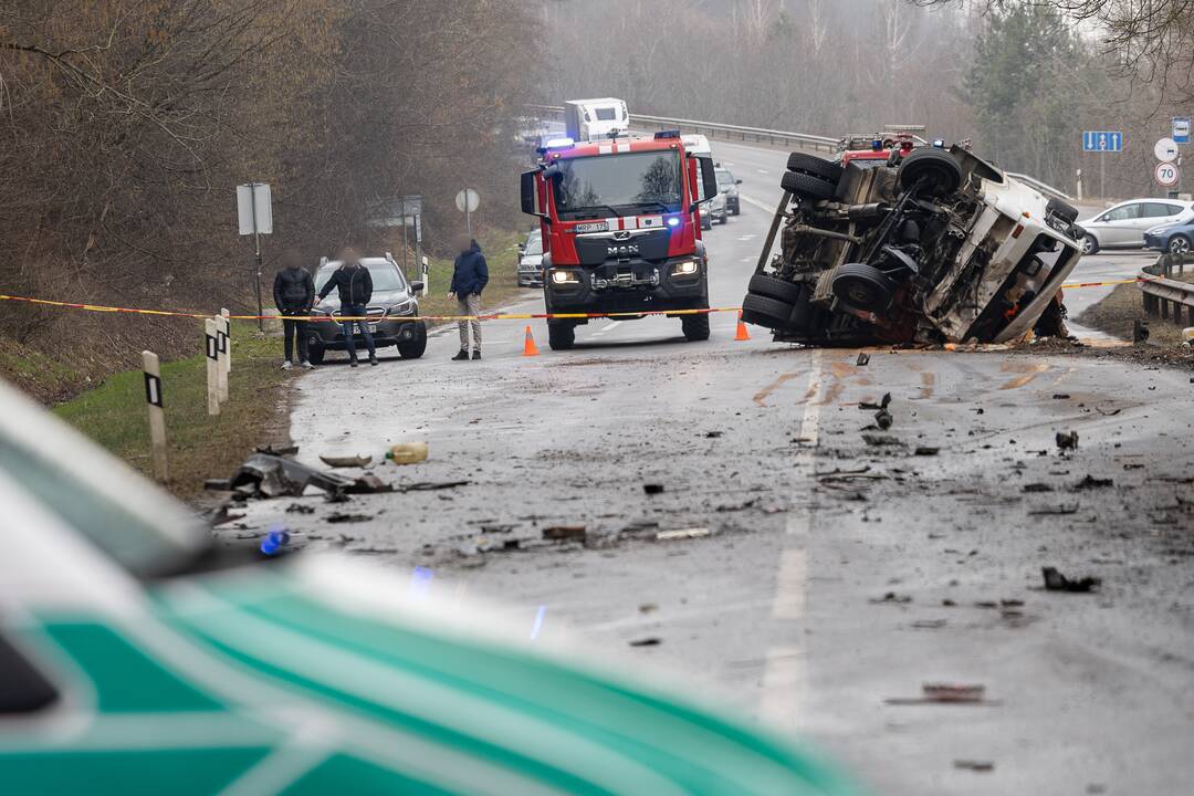 Netoli Kauno – siaubinga akistata su miškavežiu