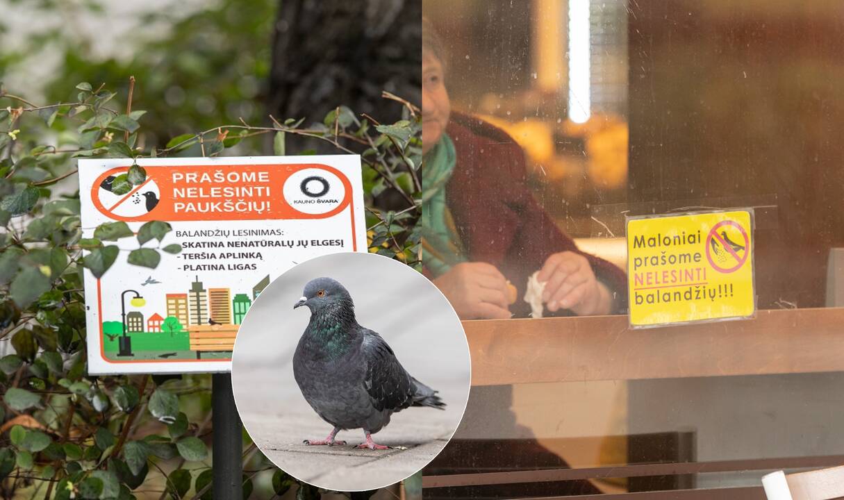 Raginimas: maitinimo įstaigų atstovai taip pat prašo klientų maisto likučiais nelesinti paukščių.