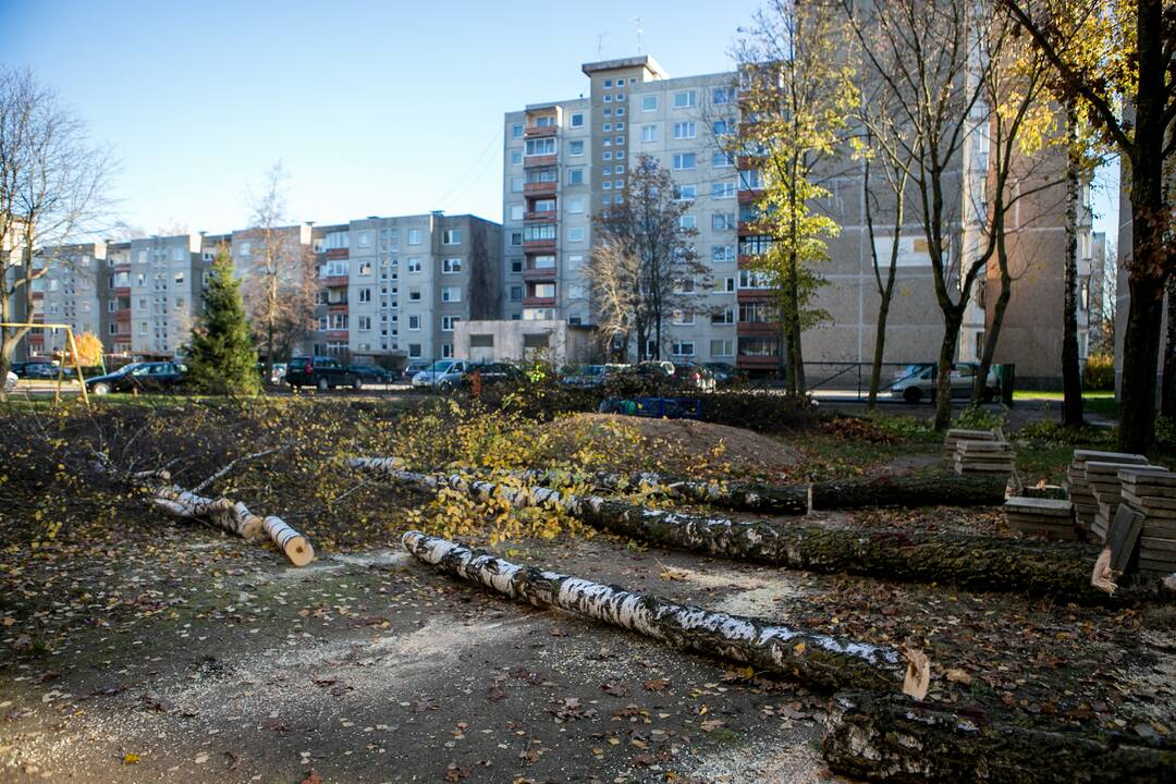 Neliko: išpjauta vienuolika beržų ir liepų, o bauda už tai gali siekti 4–5 tūkst. eurų.