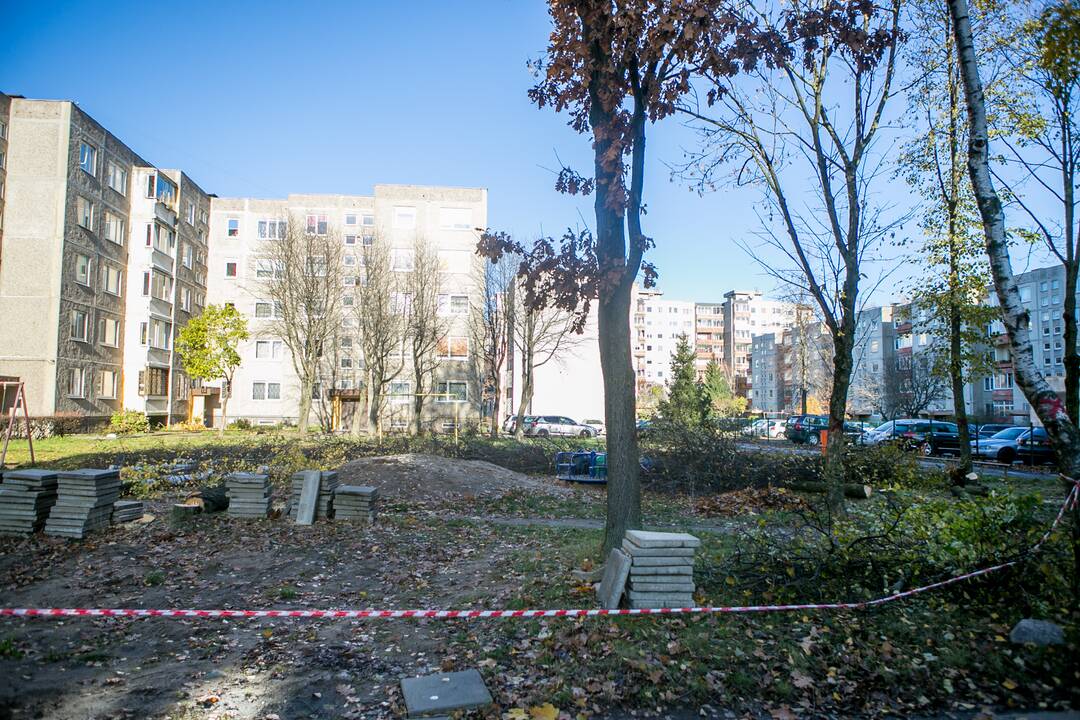 Neliko: išpjauta vienuolika beržų ir liepų, o bauda už tai gali siekti 4–5 tūkst. eurų.