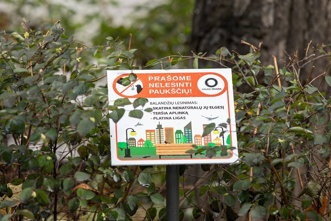 Raginimas: maitinimo įstaigų atstovai taip pat prašo klientų maisto likučiais nelesinti paukščių.