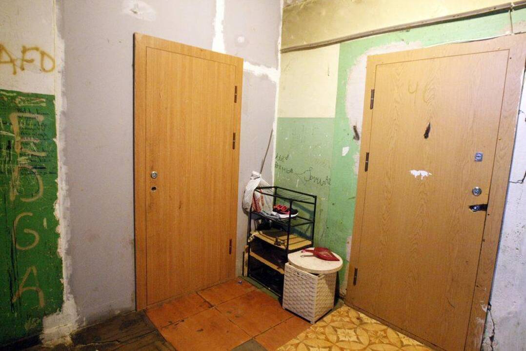 Alina Sriebaliūtė ir Mykolas Ruikis