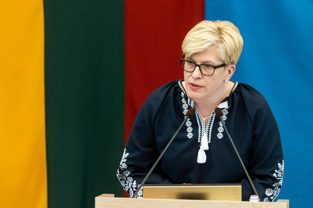 Pozicija: I. Šimonytė pareiškė, kad rinkėjai dabar – vienintelis arbitras, kuris iš tiesų galėtų įvertinti šią situaciją.