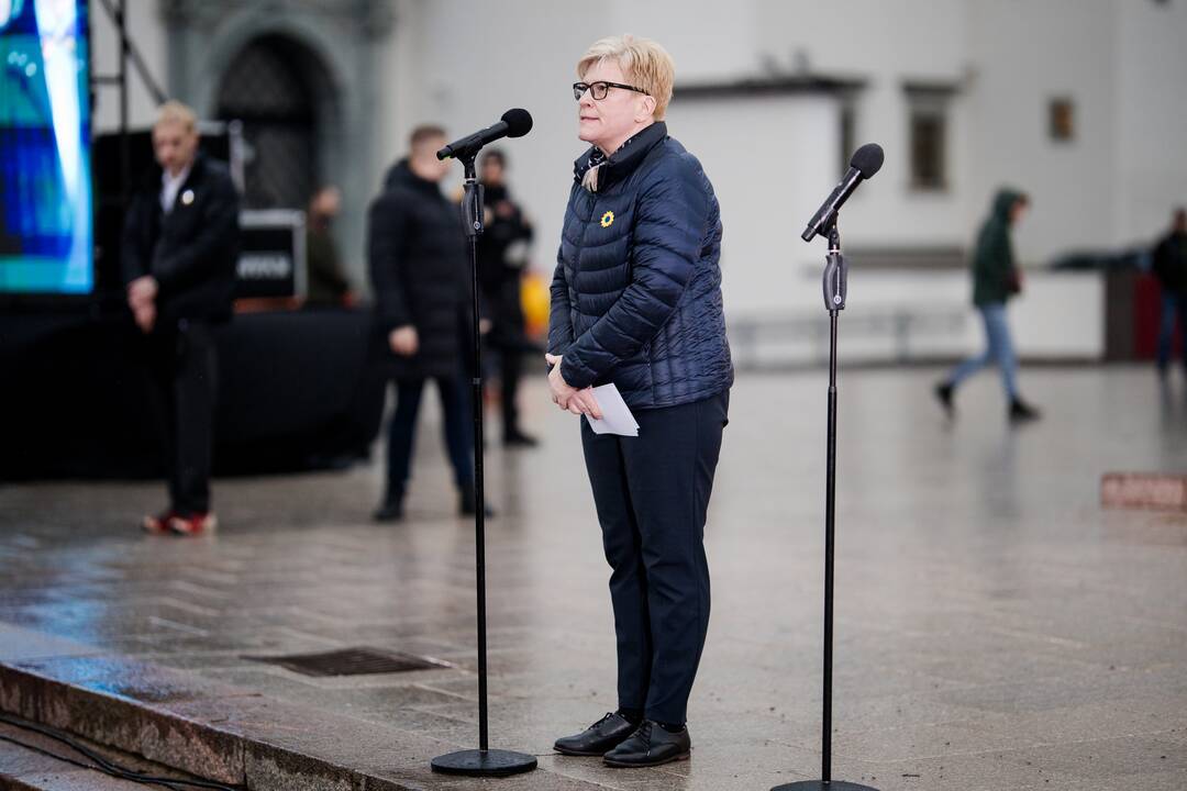 Sostinėje minimos antrosios Rusijos karo Ukrainoje metinės: vyksta mitingas, eitynės