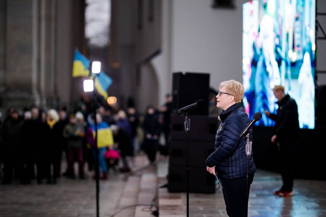 Sostinėje minimos antrosios Rusijos karo Ukrainoje metinės: vyksta mitingas, eitynės