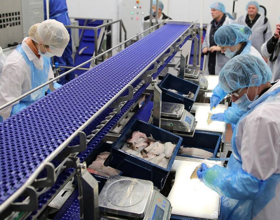 Beprasmybė: į aukcioną įdėti ES milijonai ir įrengtas žuvų filė parengimo cechas naudos neatnešė.