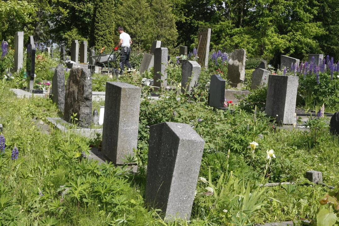 Situacija: kai kurie Joniškės kapinėse esantys kapai yra apaugę aukšta žole.