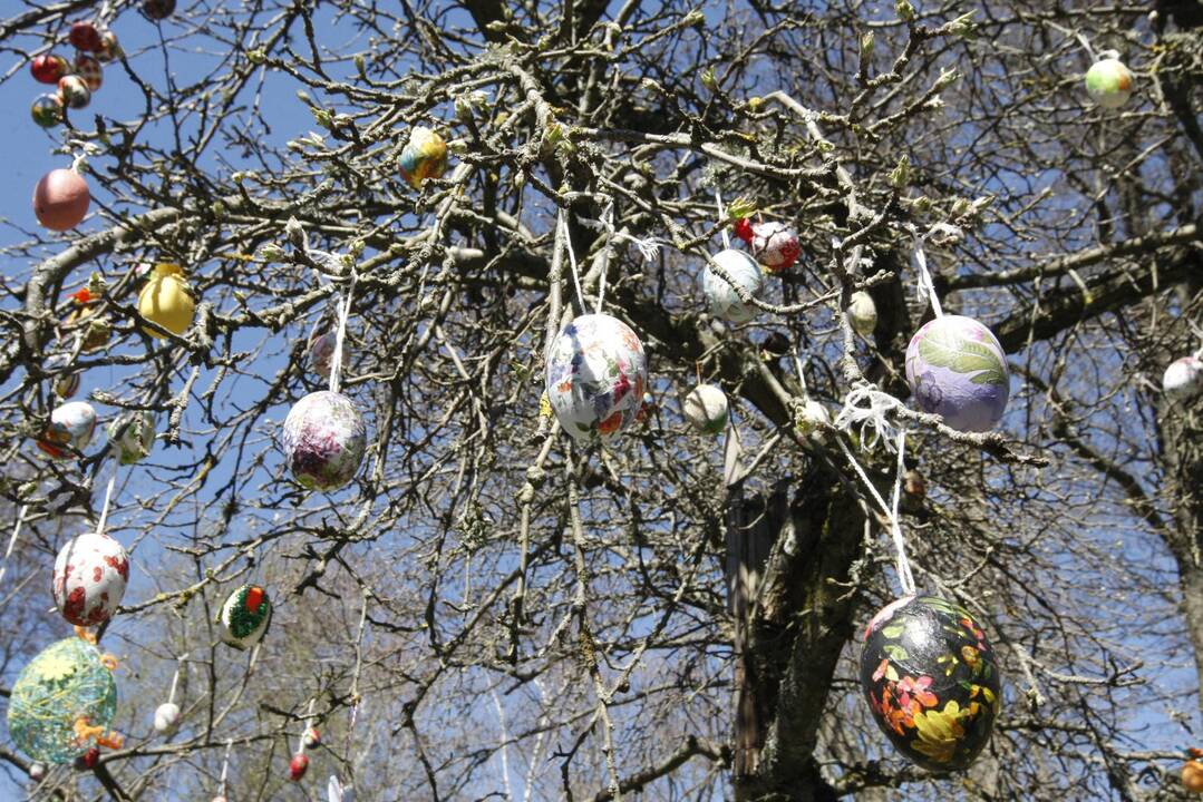 Šventė: artėjant Velykoms, margučiais papuoštas medis džiugina globos namų auklėtinius ir darbuotojus.