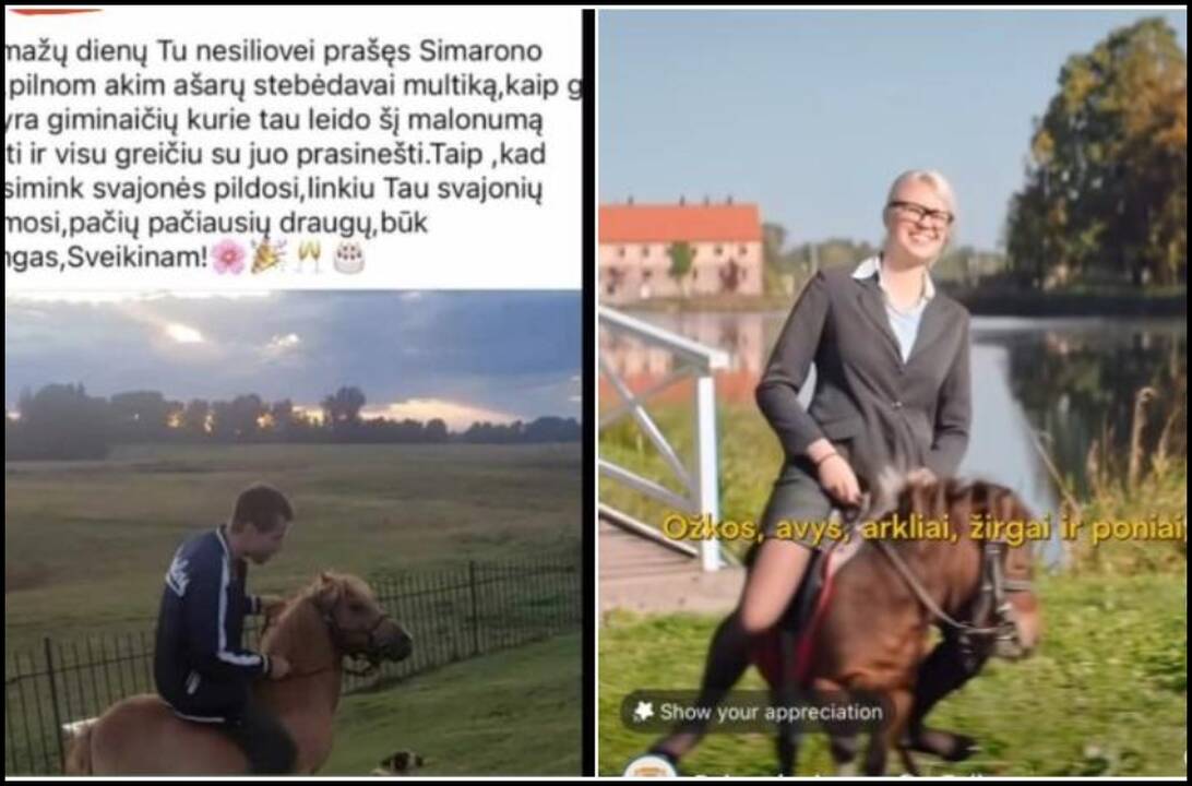Užfiksuotas žiaurus elgesys su poniu: pro akis nepraslydo ir populiaraus dvaro reklama