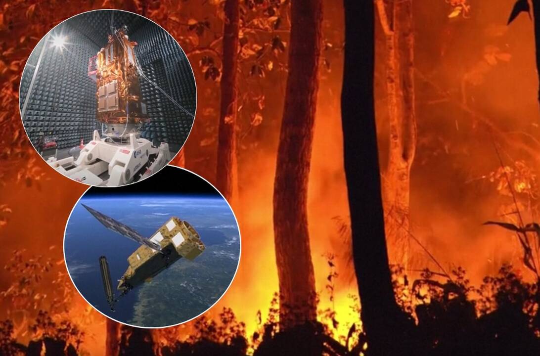 Su šiuo prietaisu siekia išgelbėti miškus: kaip jis veikia?