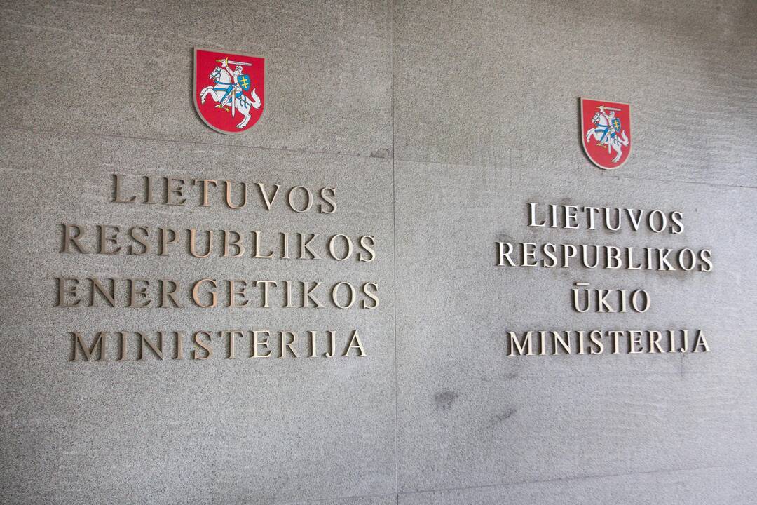 D. Grybauskaitė nemano, kad ministerijų skaičius yra svarbus