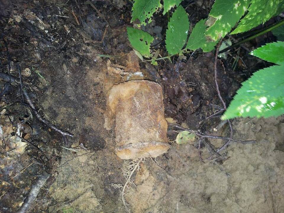 Pasienyje su Rusija aptikta karo laikų granata