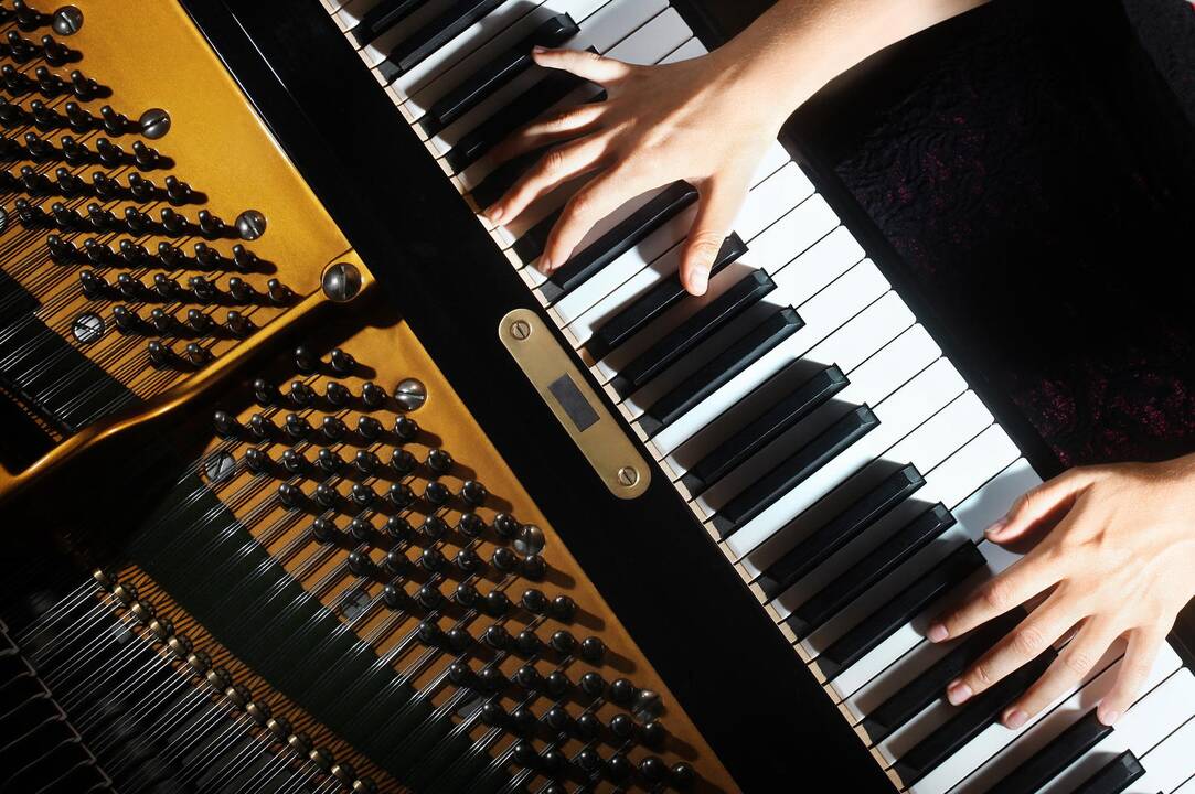 Muzikos mokykla: vaikams ar jų tėvams?