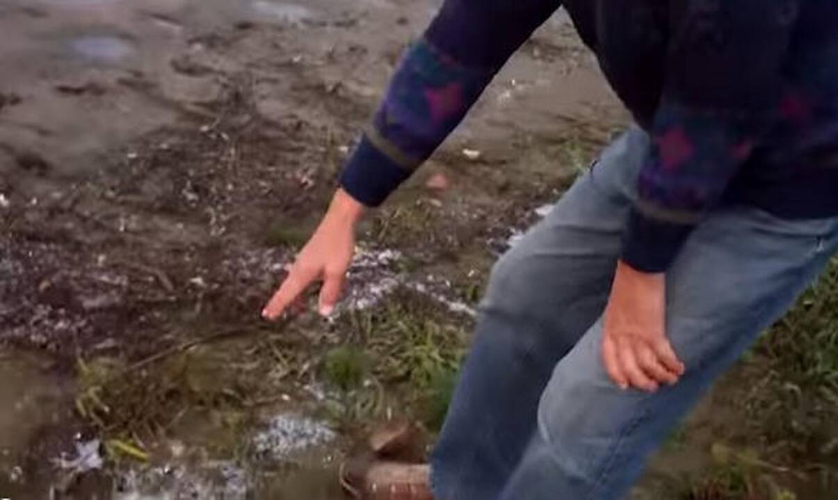 Kas Nemuno pakrantę užteršė plastiko atraižomis?
