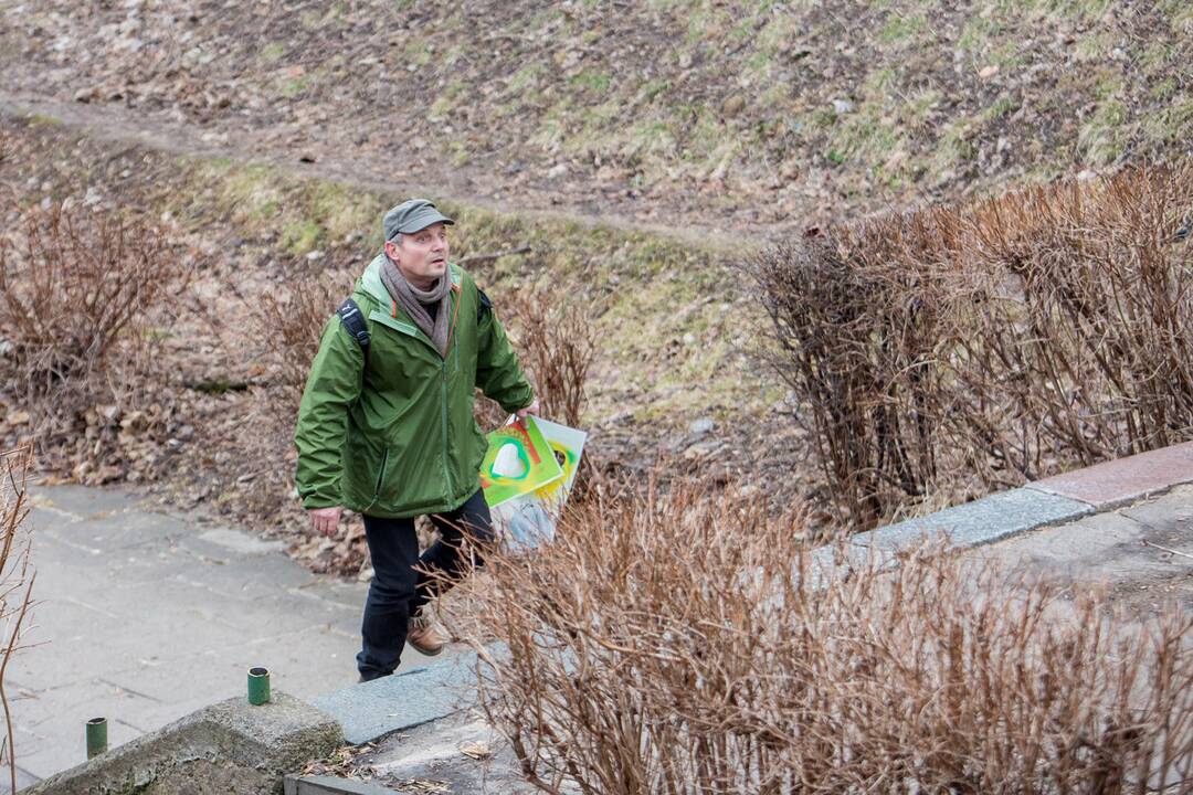 Piketas dėl Kauko laiptų medžių