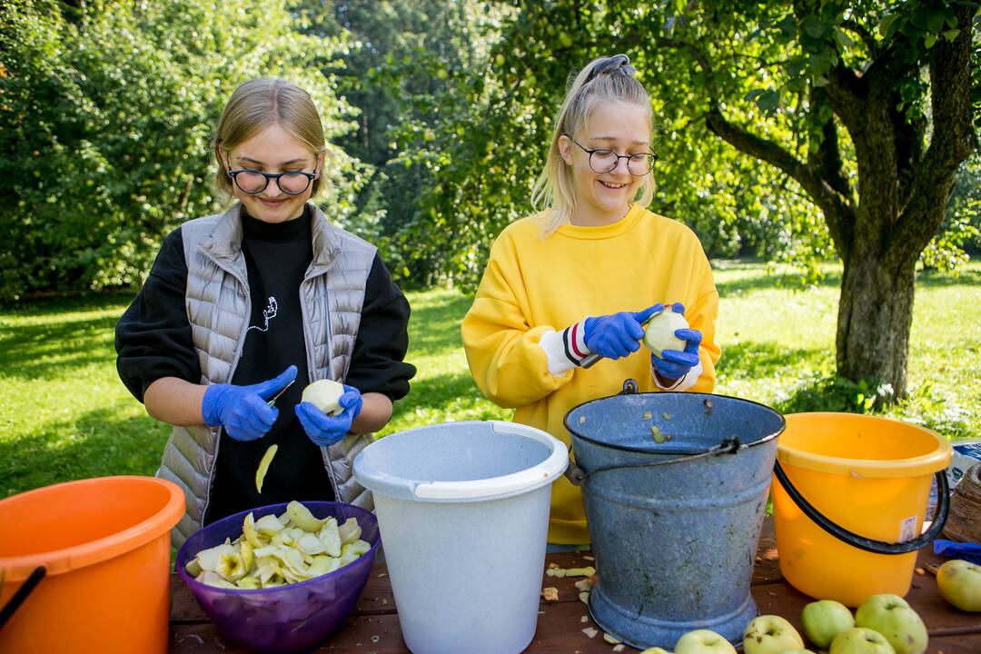 Renginių diena Akademijoje “Auginam Obelynę”
