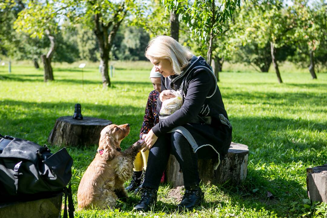 Renginių diena Akademijoje “Auginam Obelynę”