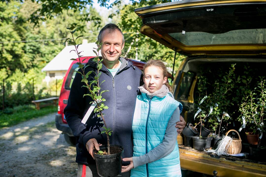 Renginių diena Akademijoje “Auginam Obelynę”