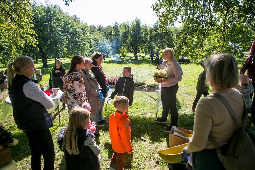 Renginių diena Akademijoje “Auginam Obelynę”