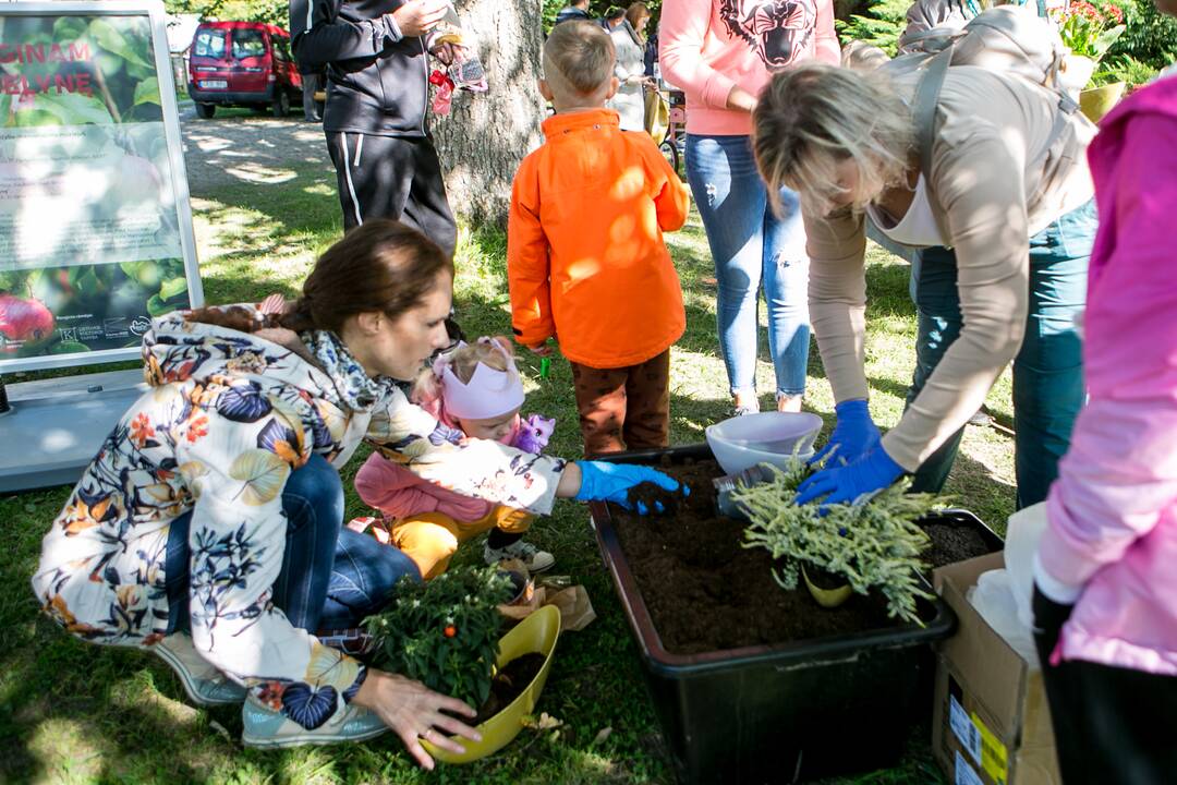 Renginių diena Akademijoje “Auginam Obelynę”