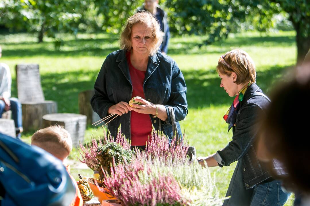 Renginių diena Akademijoje “Auginam Obelynę”