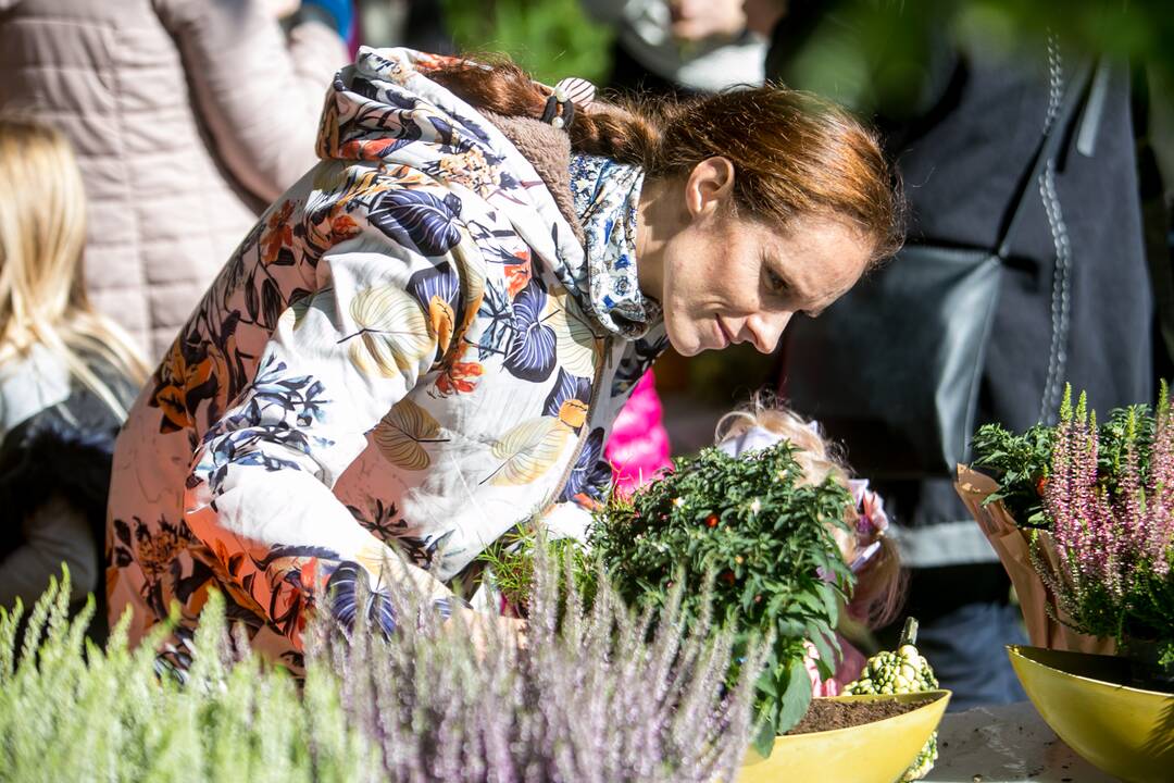Renginių diena Akademijoje “Auginam Obelynę”