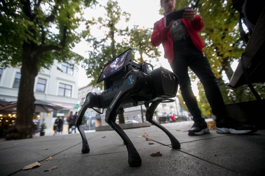 Laisvės alėjoje – pažintis su keturkoju robotu