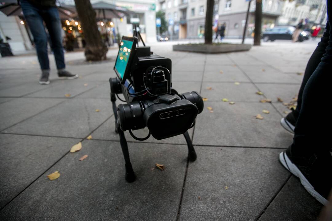 Laisvės alėjoje – pažintis su keturkoju robotu