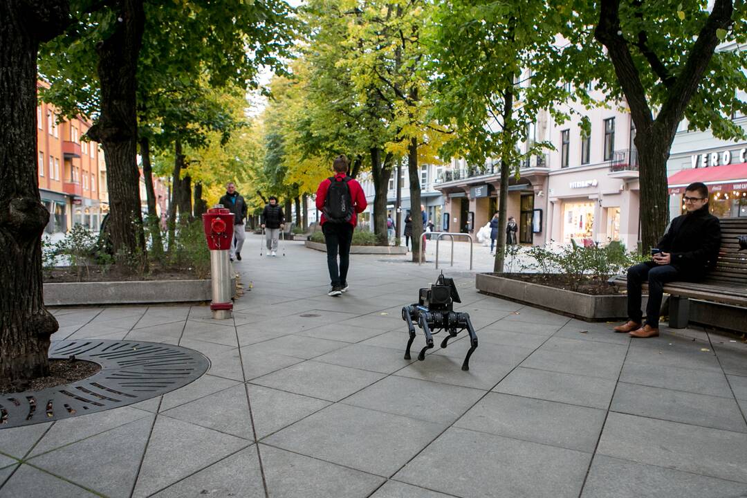 Laisvės alėjoje – pažintis su keturkoju robotu