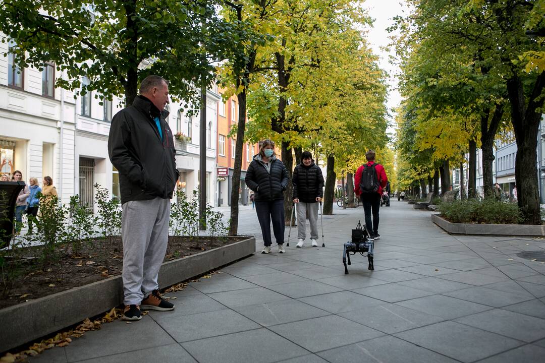 Laisvės alėjoje – pažintis su keturkoju robotu