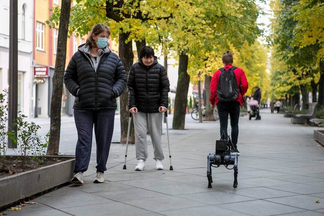 Laisvės alėjoje – pažintis su keturkoju robotu