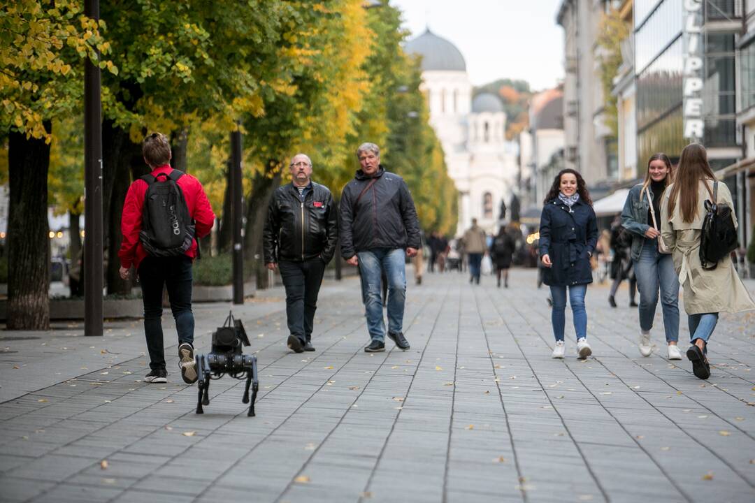 Laisvės alėjoje – pažintis su keturkoju robotu
