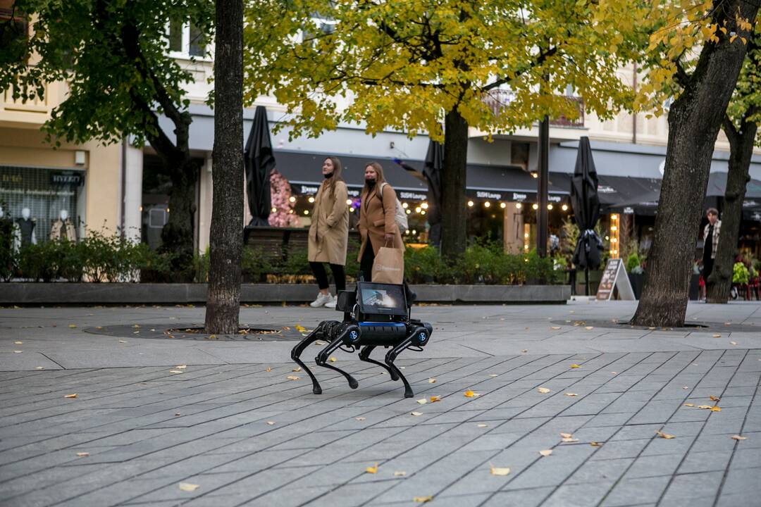 Laisvės alėjoje – pažintis su keturkoju robotu