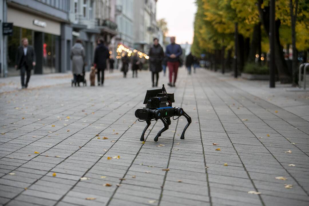 Laisvės alėjoje – pažintis su keturkoju robotu