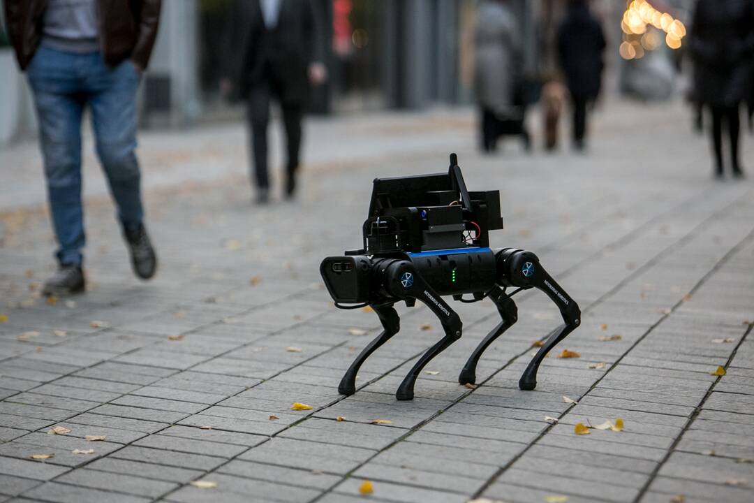 Laisvės alėjoje – pažintis su keturkoju robotu