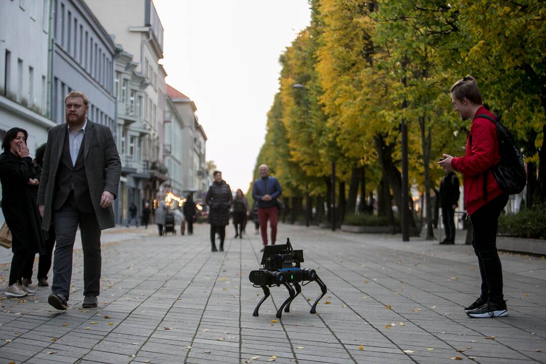 Laisvės alėjoje – pažintis su keturkoju robotu