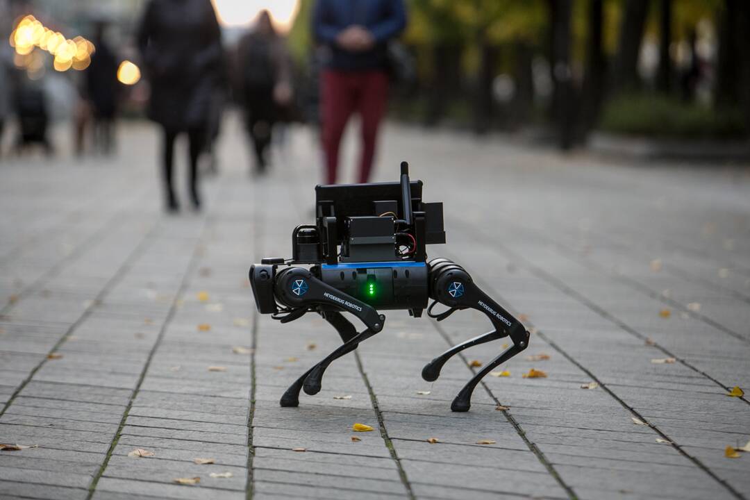 Laisvės alėjoje – pažintis su keturkoju robotu