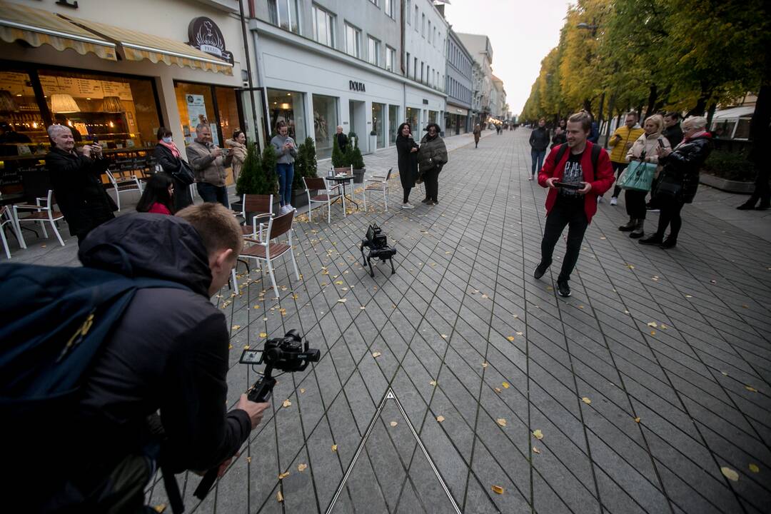 Laisvės alėjoje – pažintis su keturkoju robotu