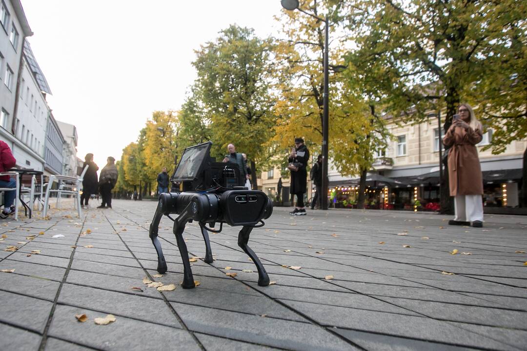 Laisvės alėjoje – pažintis su keturkoju robotu