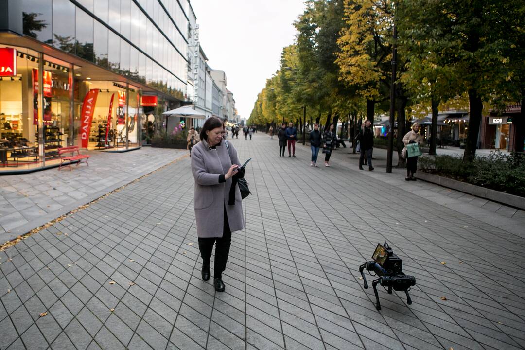 Laisvės alėjoje – pažintis su keturkoju robotu