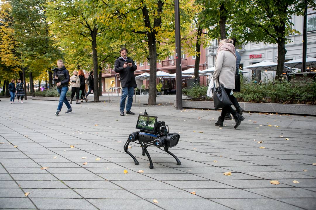 Laisvės alėjoje – pažintis su keturkoju robotu