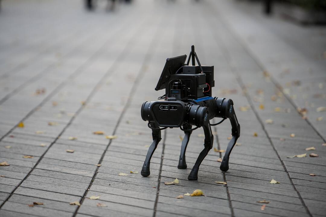 Laisvės alėjoje – pažintis su keturkoju robotu